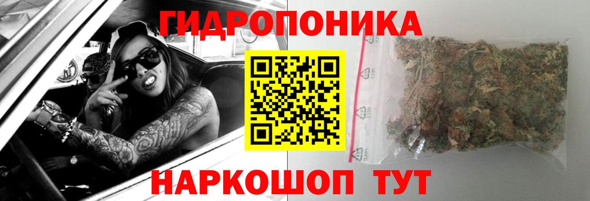 Благодарный  Бошки Шишки конопля  Вход с VPN  Конопля конопля 